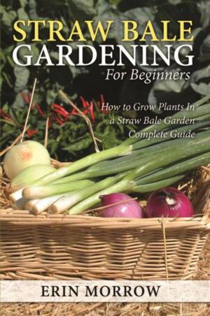 Book cover of Straw Bale Gardening For Beginners