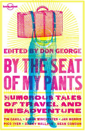 Cover of the book By the Seat of My Pants by Lee Anne Martin