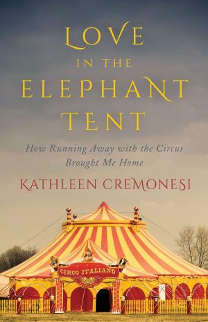 Cover of the book Love in the Elephant Tent by Richard Rosenbaum