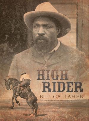 Cover of the book High Rider by Antonia Cyn