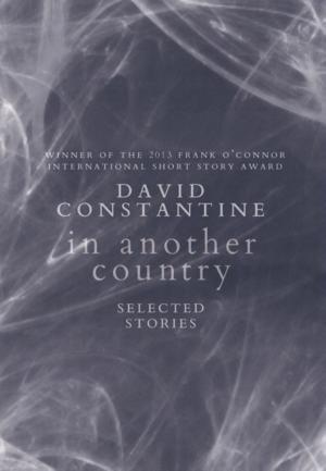 Book cover of In Another Country