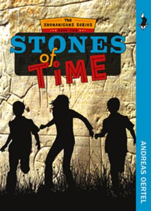 Book cover of Stones of Time