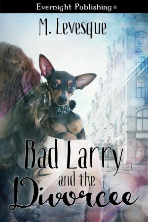Cover of the book Bad Larry and the Divorcée by James Cox