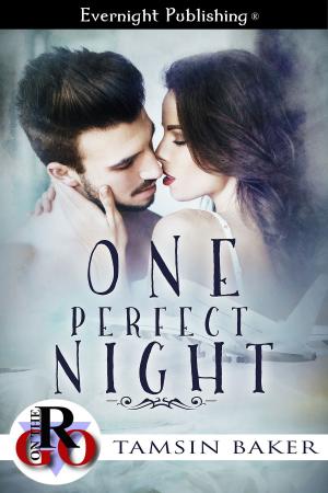 Cover of the book One Perfect Night by Sandra Bunino