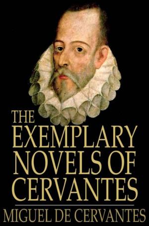 Book cover of The Exemplary Novels of Cervantes
