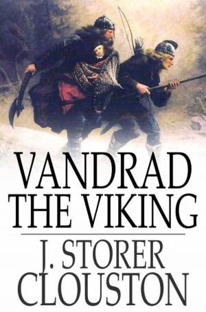 Cover of the book Vandrad the Viking by David Tatum