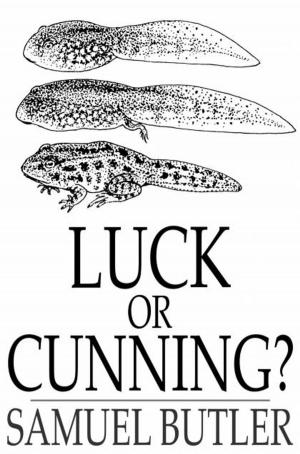 bigCover of the book Luck or Cunning? by 