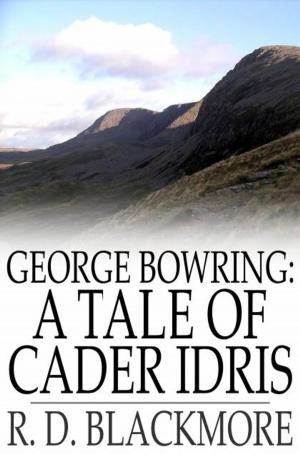Book cover of George Bowring: A Tale of Cader Idris