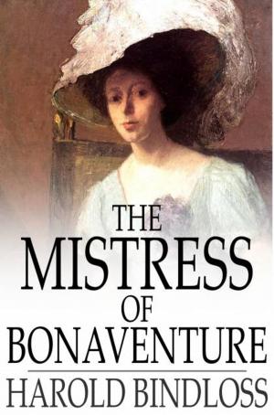 Cover of the book The Mistress of Bonaventure by Cinderella Grimm Free Man