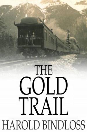 Cover of the book The Gold Trail by John Henry Goldfrap