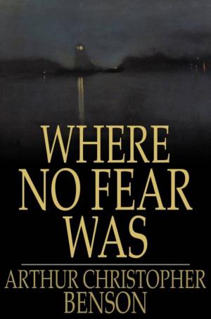 bigCover of the book Where No Fear Was by 