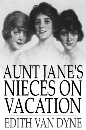 Book cover of Aunt Jane's Nieces on Vacation