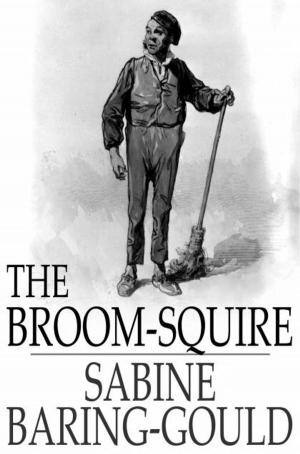Cover of the book The Broom-Squire by Oliver Onions