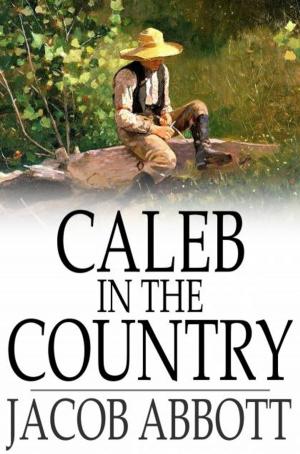 Book cover of Caleb in the Country