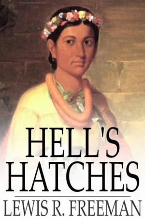 Book cover of Hell's Hatches