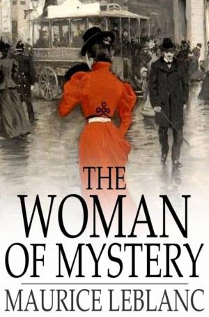 Cover of the book The Woman of Mystery by H. G. Wells