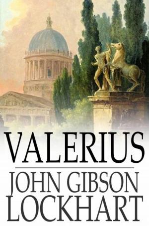 Cover of the book Valerius by Harold Bindloss