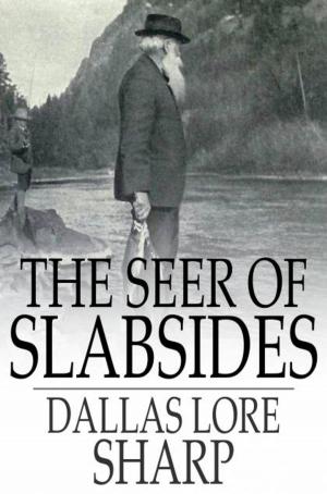 Cover of the book The Seer of Slabsides by Rachel Eddey