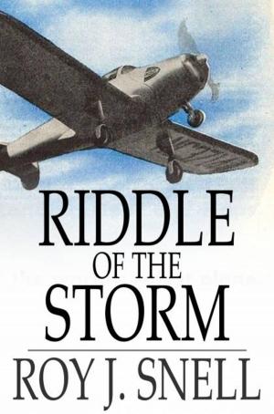 Cover of the book Riddle of the Storm by Victor Appleton