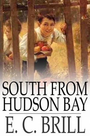 Cover of the book South From Hudson Bay by Edgar Allan Poe