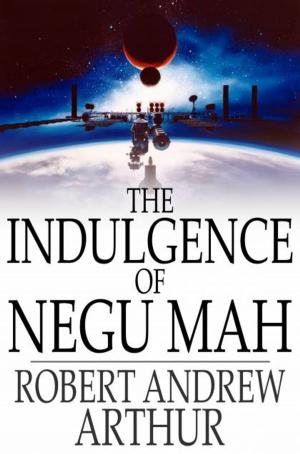 Cover of the book The Indulgence of Negu Mah by Poul Anderson