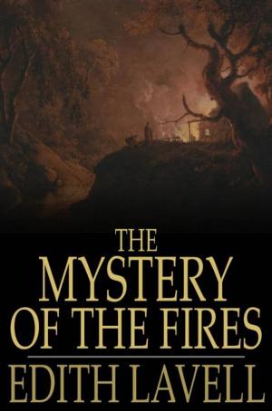 bigCover of the book The Mystery of the Fires by 