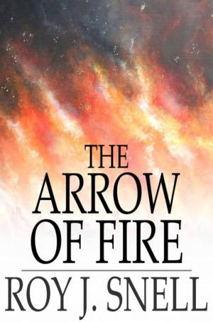 Cover of the book The Arrow of Fire by Clarence E. Mulford