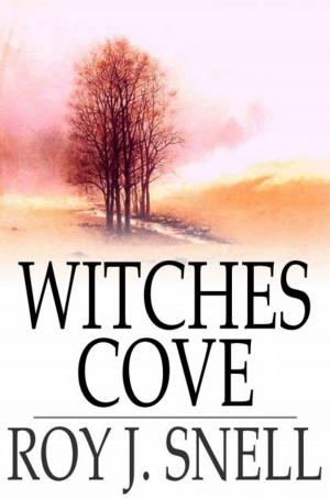 Book cover of Witches Cove