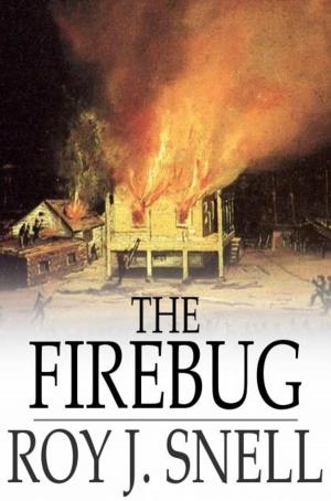 Cover of the book The Firebug by Poul Anderson