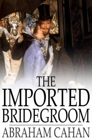 Cover of the book The Imported Bridegroom by J. M. Barrie