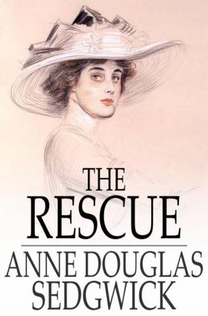 Cover of the book The Rescue by Corri van de Stege