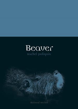 Cover of the book Beaver by Alastair Hannay