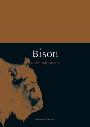 Cover of the book Bison by Andrew Ballantyne