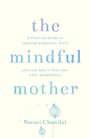 Cover of the book The Mindful Mother by Lavie Tidhar, Shimon Adaf