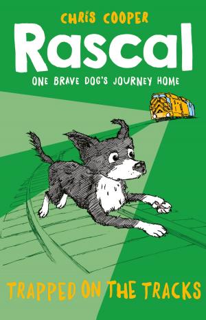 Book cover of Rascal: Trapped on the Tracks