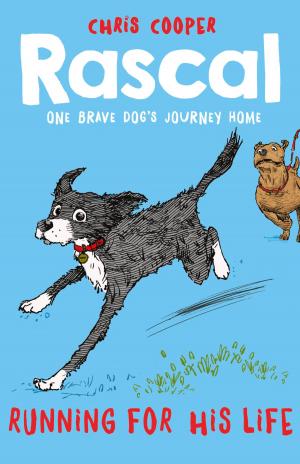 Cover of the book Rascal: Running For His Life by Andy Stanton