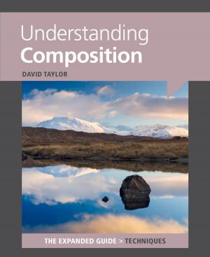 Book cover of Understanding Composition