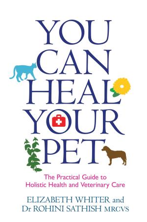 bigCover of the book You Can Heal Your Pet by 