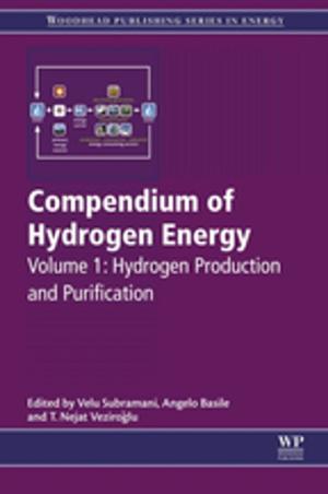Cover of the book Compendium of Hydrogen Energy by Mostafa Ghanei, MD, Ali Amini Harandi, MD