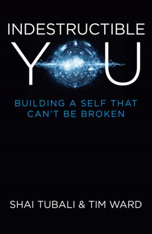 Cover of the book Indestructible You by Kylie Holmes