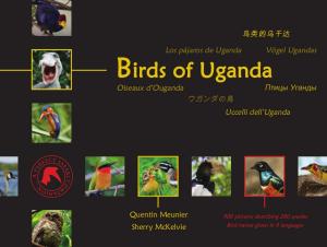 Cover of the book Birds of Uganda by Vicki Shankwitz, Megan Pitts