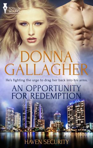 Cover of the book An Opportunity for Redemption by Heather Macallister