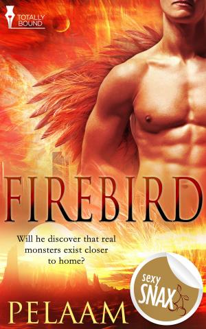 Cover of the book Firebird by Lynne Connolly