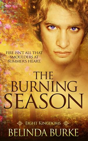 Cover of the book The Burning Season by Morticia Knight