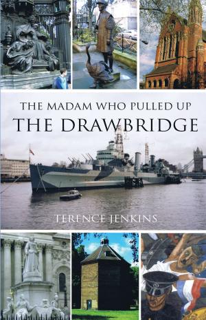 Cover of the book The Madam Who Pulled Up The Drawbridge by Gerard O'Boyle