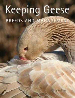 Cover of the book Keeping Geese by Bridget Woods