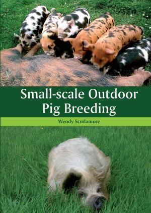 Cover of the book Small-scale Outdoor Pig Breeding by Sarah Thursfield