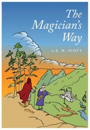 Cover of the book The Magician's Way by Andrew Gray