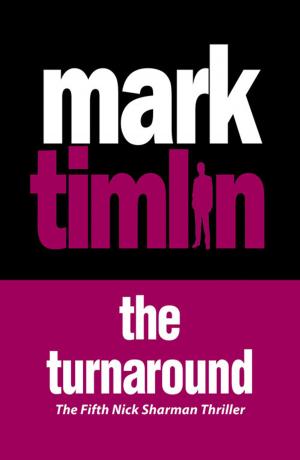 Cover of the book The Turnaround by Yannick Felix