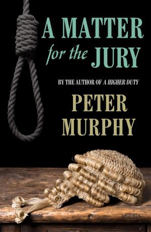 Cover of the book A Matter for the Jury by Brooklyn June L.J. Miller
